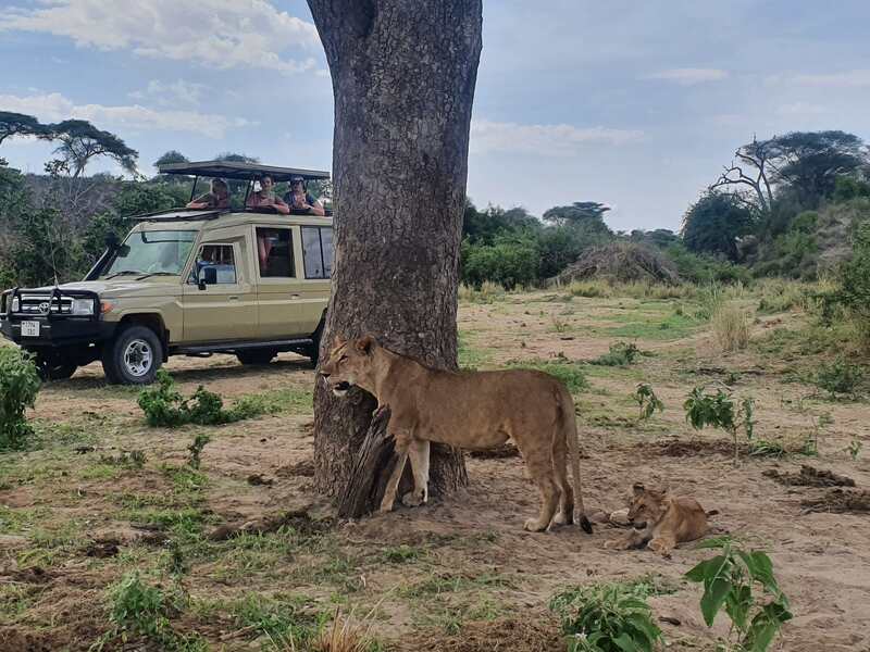 Safari in Tanzania