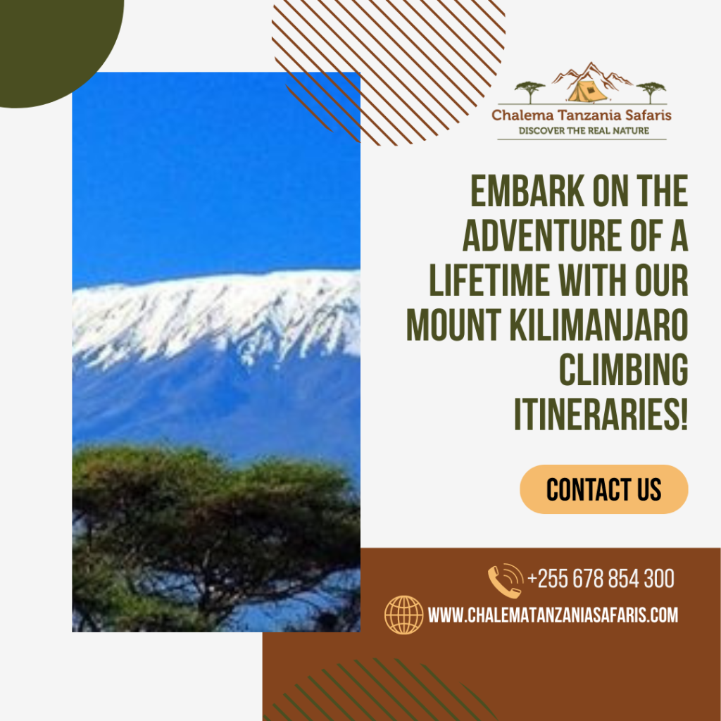 climbing mount kilimanjaro