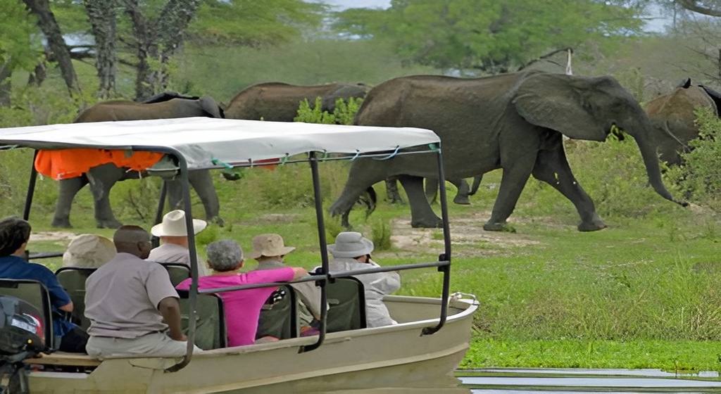 safari-tanzania