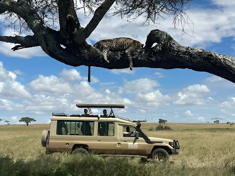 tarangire-national-park