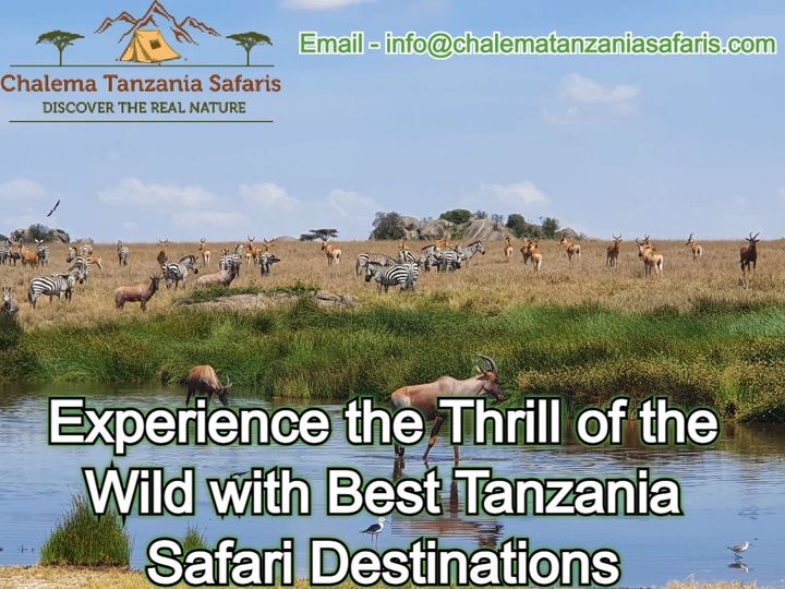 7 day tanzania safari