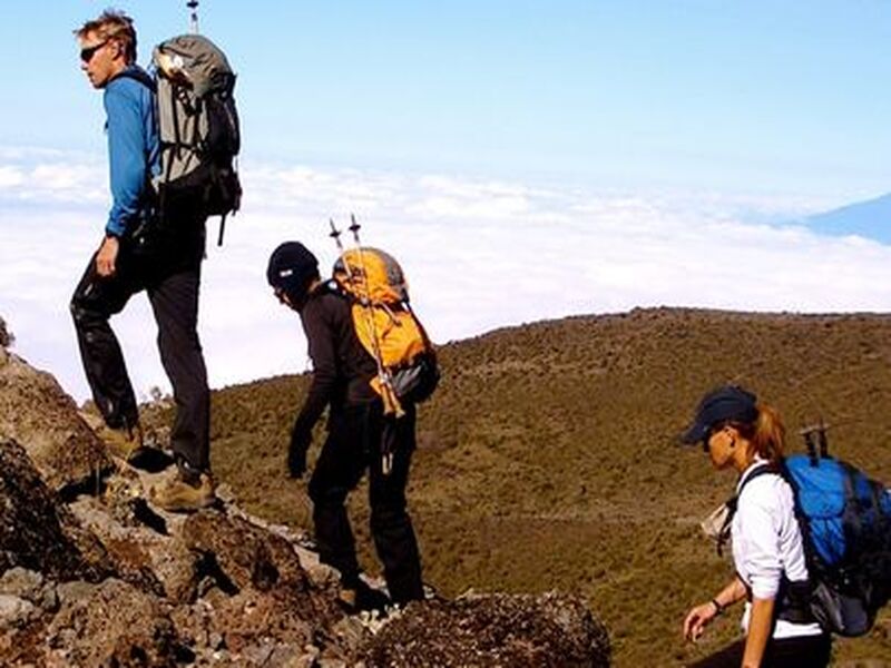 kilimanjaro inti naries